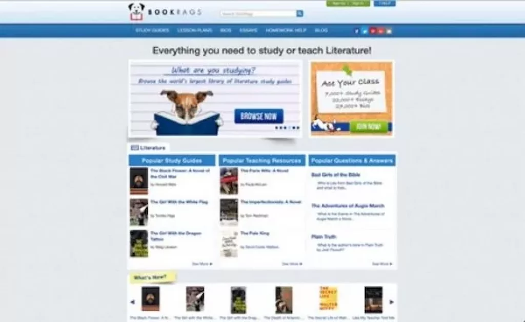 Sites Like SparkNotes