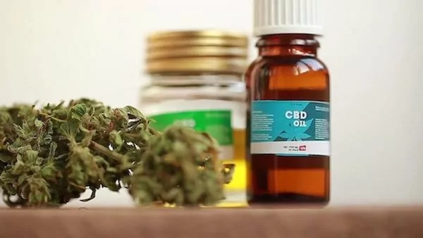 What Should I Look for in CBD Oil?