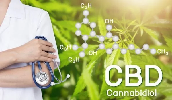 How Does CBD Work? – Endocannabinoid System