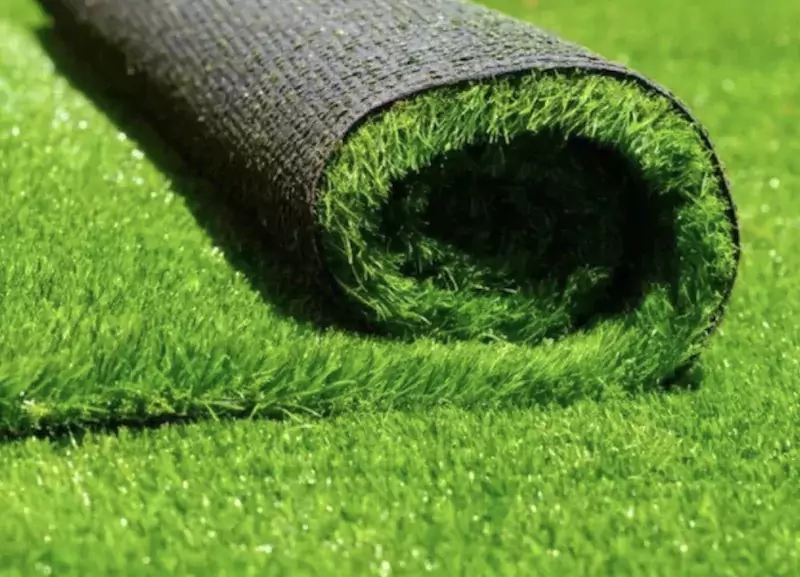What Is Turf Grass