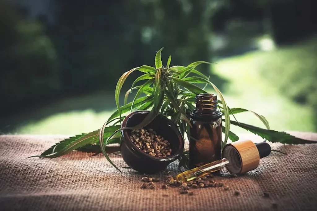 Learn How To Twist Your Food Game With CBD Oil