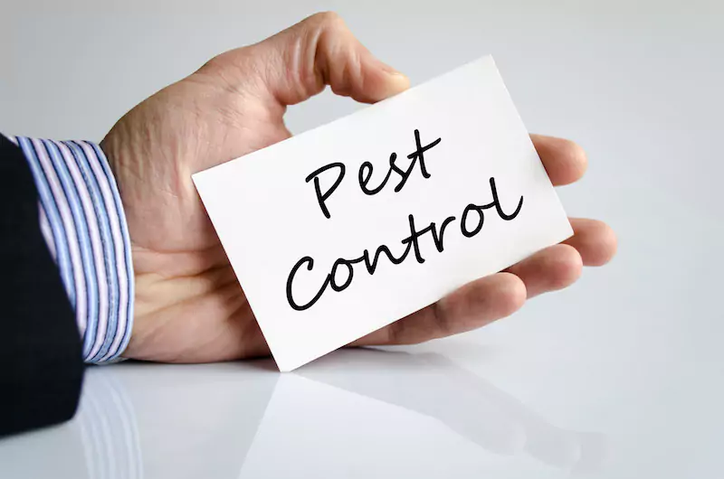 Home Pest Control