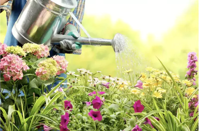 maintaining your garden