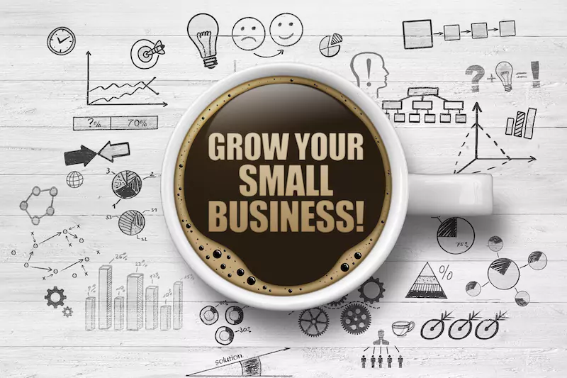Growing a Small Business