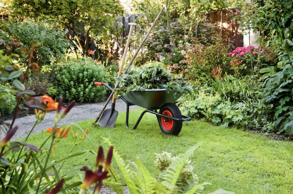 A 4-Step Guide To Decluttering Your Garden