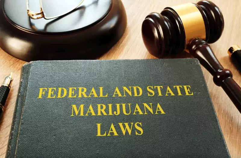 Cannabis State Compliance Certification